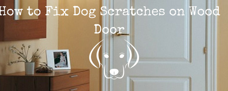 How to Fix Dog Scratches on Wood Door