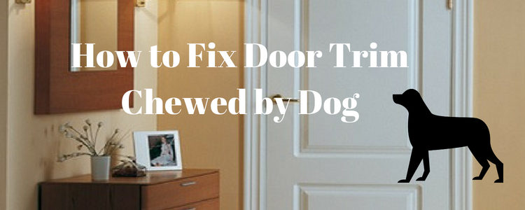 How to Fix Door Trim Chewed by Dog