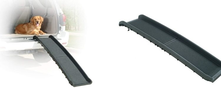 Best Dog Ramps for Cars