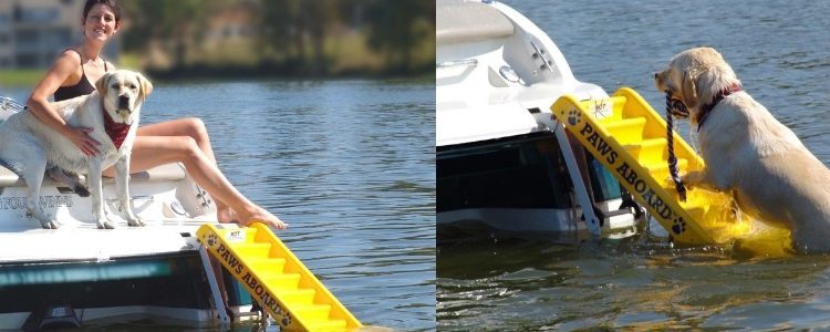 Dog Ramps for Boats