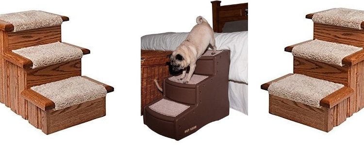 Best Dog Steps for the Bed