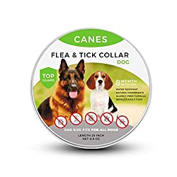 Flea and Tick Prevention for Dogs Collar