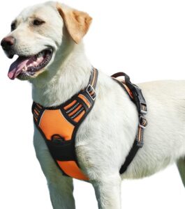Best Walking Dog Harness