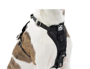 Kurgo Tru-Fit Dog Harness – Frenchie Harness