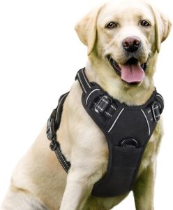 RABBITGOO Dog Harness